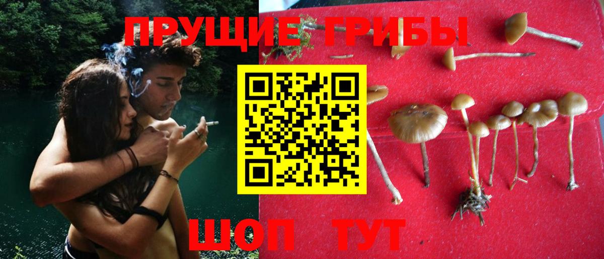 Псилоцибиновые грибы MAGIC MUSHROOMS  Вход с VPN  Усть-Джегута  Псилоцибиновые грибы мицелий 