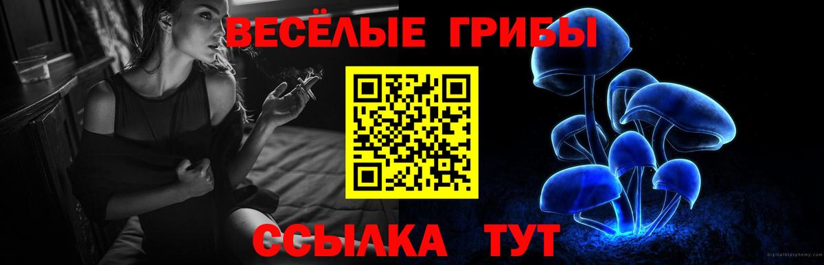 Псилоцибиновые грибы GOLDEN TEACHER Усть-Джегута
