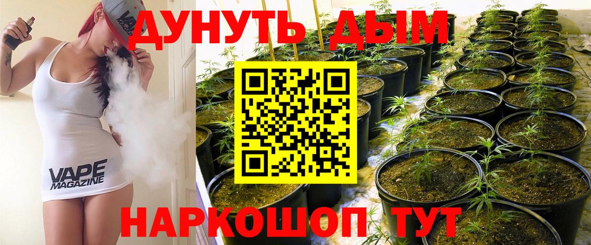 Конопля AK-47  Вход с VPN  Шишки марихуана AK-47  Марихуана конопля  Усть-Джегута  Бошки Шишки Bruce Banner 
